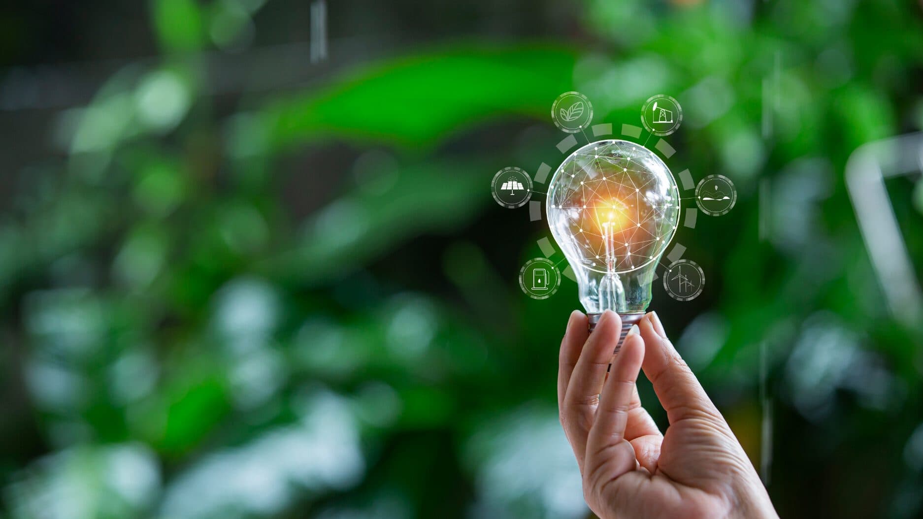 Frauenhand hält Glübrine in der Natur in ihrer Hand. Darum sind Grafiken zum Energiemanagement.