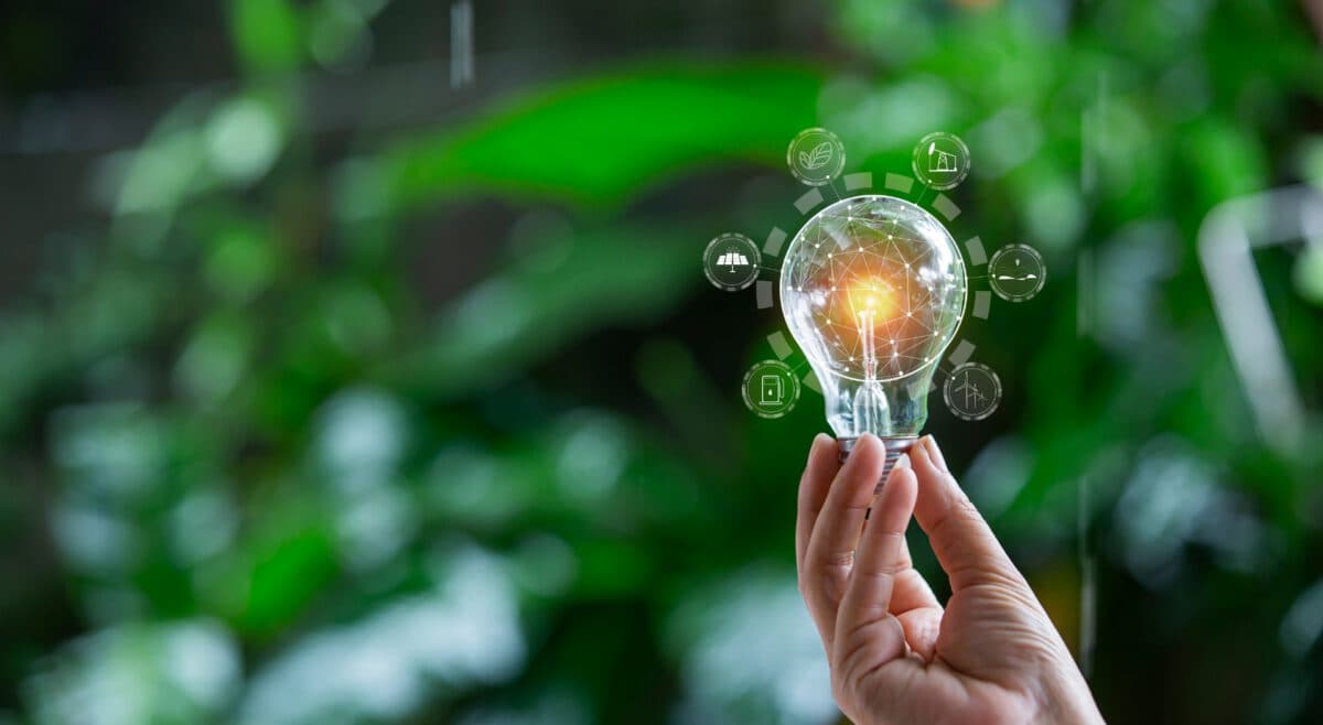 Frauenhand hält Glübrine in der Natur in ihrer Hand. Darum sind Grafiken zum Energiemanagement.