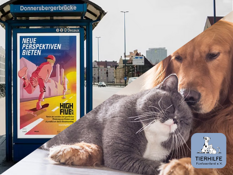 Geteiltes Bild mit zwei Motiven: Links eine Bushaltestelle „Donnersbergerbrücke“ in einer Stadt. In der Werbung hängt ein buntes Plakat mit der Aufschrift „NEUE PERSPEKTIVEN BIETEN“ und „HIGH FIVE!“, darauf eine stilisierte Person im roten Trainingsanzug. Rechts ein Foto von einem grauen, entspannt liegenden Kater, der den Kopf an einen goldenfarbenen Hund kuschelt. Unten rechts das Logo von „Tierhilfe Fünfseenland e. V.“ mit einer stilisierten weißen Katze und einem Hund auf hellblauem Hintergrund.